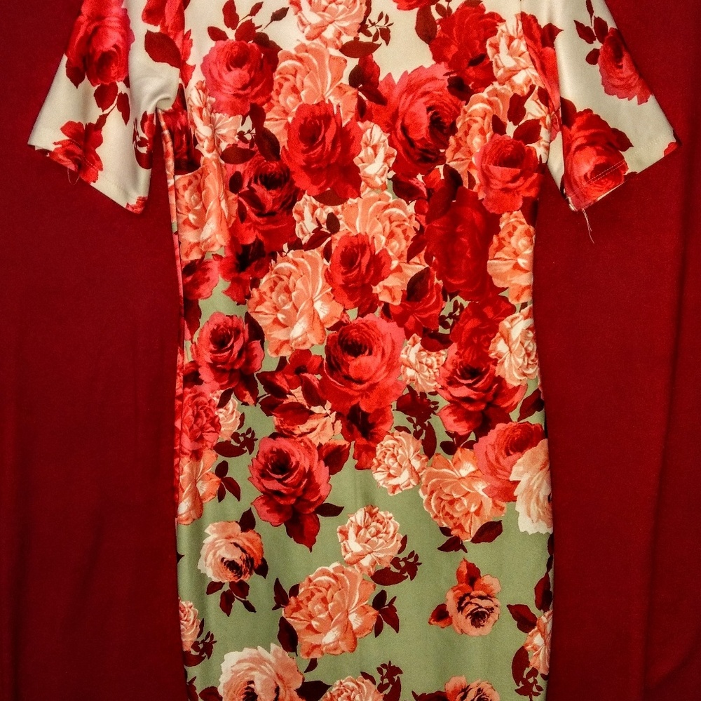 Sale 10 & under 2/15 rose are red... bodycon dress